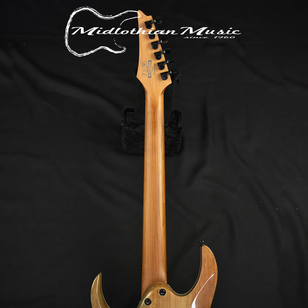 Ibanez RGA42HPQM Blue Iceberg Gradient Finish NEW! DISCOUNTED! - Image 7